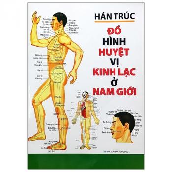 ĐỒ HÌNH HUYỆT VỊ KINH LẠC Ở NAM GIỚI