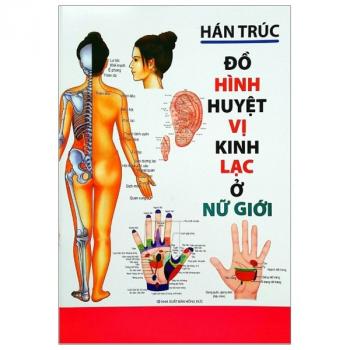 ĐỒ HÌNH HUYỆT VỊ KINH LẠC Ở NỮ GIỚI