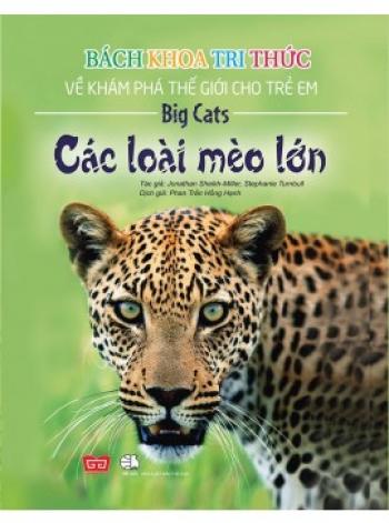 BKTT:CÁC LOÀI MÈO LỚN