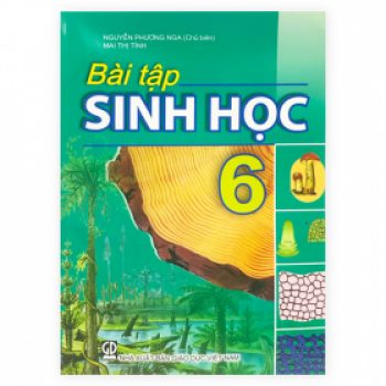 Bài Tập Sinh Học Lớp 6