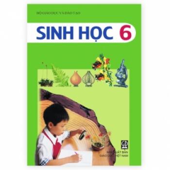 Sinh Học - Lớp 6