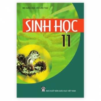 Sinh Học - Lớp 11