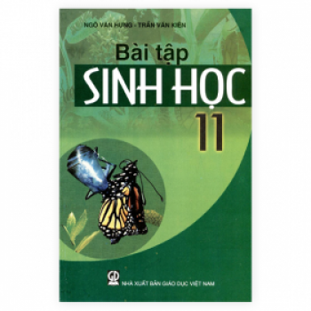 Bài Tập Sinh Học Lớp 11