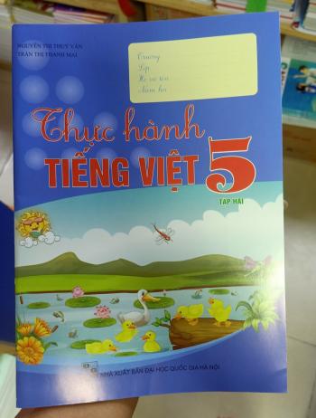 Thực hành Tiếng việt 5/2