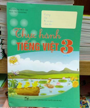 Thực hành Tiếng việt 3/1